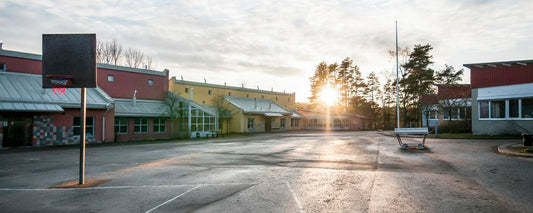 När hängbjörken slår ut – dags att växla upp trygghetsarbetet på skolgårdarna!